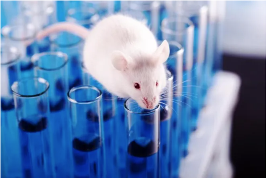 最新《Science》论文：解析迄今最完整小鼠基因组图