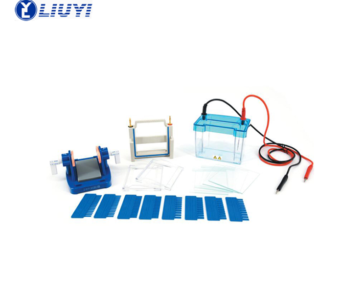 迷你双垂直电泳仪